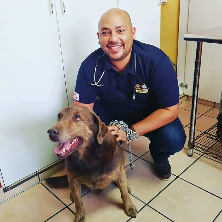 Dr. Mario V. Sánchez
