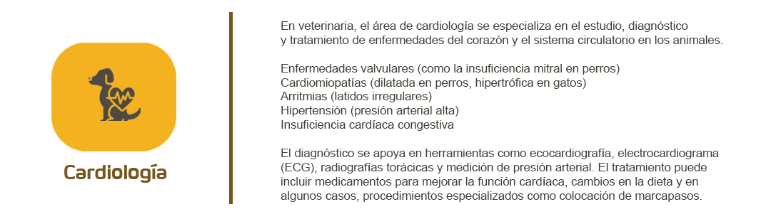 Cardiología veterinaria: diagnóstico y tratamiento de enfermedades del corazón en mascotas.