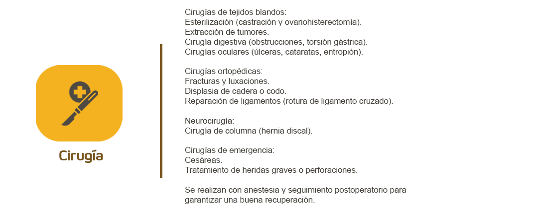 Cirugías veterinaria especializada con médicos capacitados para el cuidado de las mascotas.