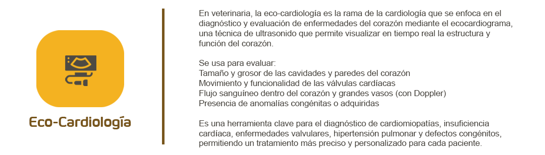 Eco-cardiología veterinaria: evaluación del corazón de mascotas mediante ecografía.