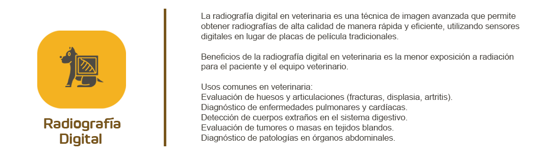 Radiografía digital veterinaria para un diagnóstico preciso y una consulta completa.