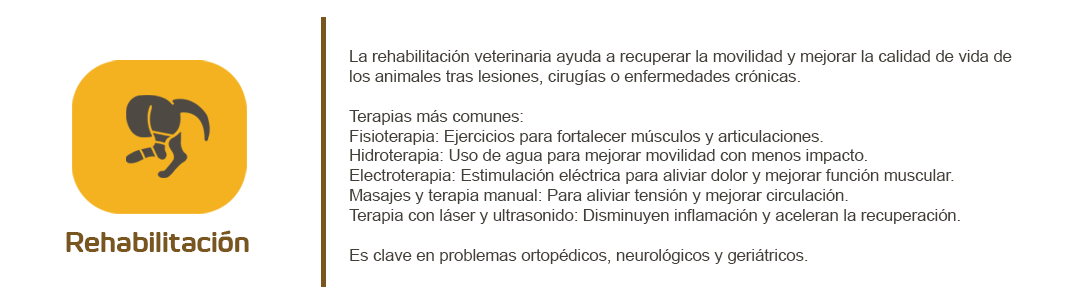 Primer centro de rehabilitación animal en Honduras para una consulta veterinaria integral.